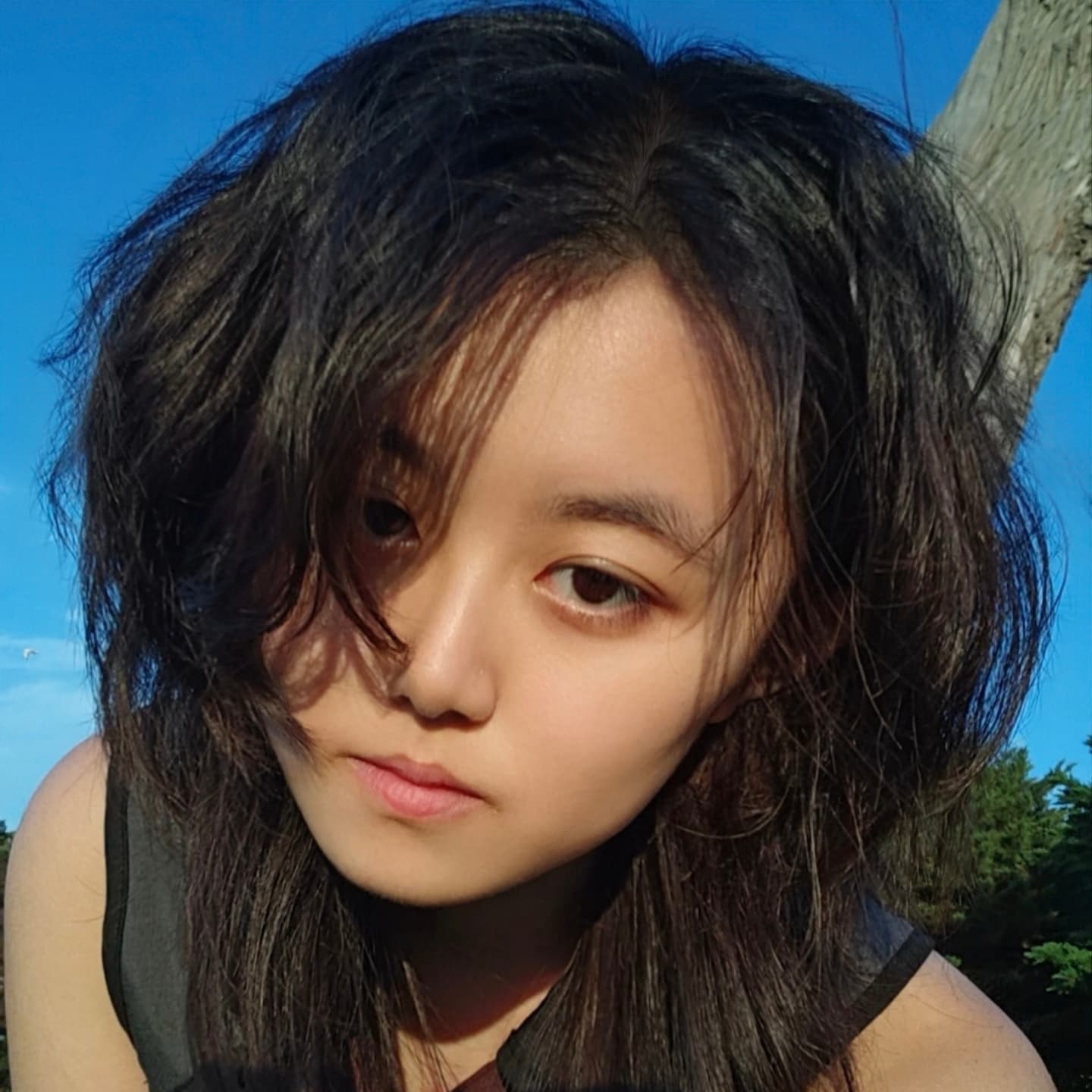 Yanfei Chen